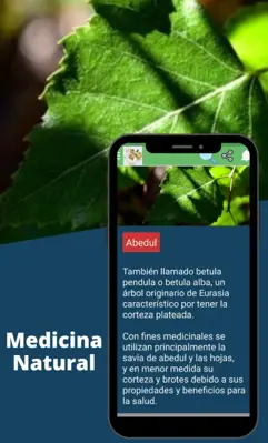 Medicina Natural android App screenshot 3